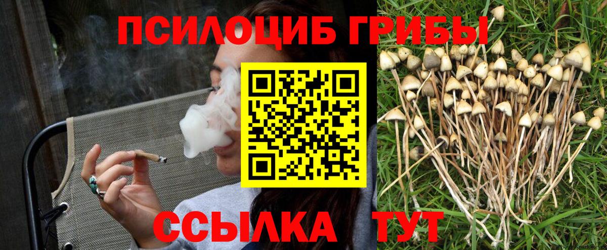 Псилоцибиновые грибы MAGIC MUSHROOMS  Галлюциногенные грибы прущие грибы  Шебекино  Вход с VPN 