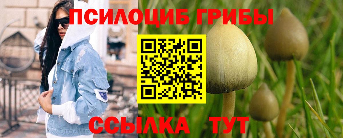 Галлюциногенные грибы MAGIC MUSHROOMS Шебекино